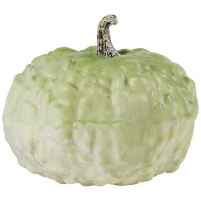 Northlight Heirloom Winter Gourd Fall Harvest Decoration In Green