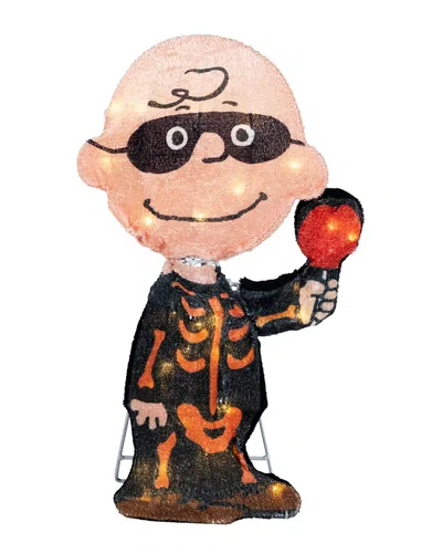 Northlight Led Lighted Charlie Brown Bones Outdoor Halloween Yard Decoration In Multi