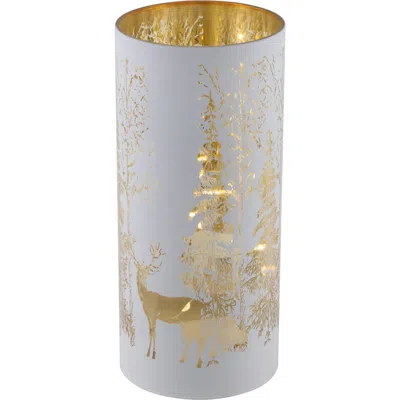 Northlight Led Lighted Deer In White