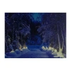 Northlight Led Lighted Nighttime In The Woods Winter Scene Canvas Wall Art 15.75" In Blue