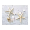 Northlight Led Lighted Starfish Seashell And Tea Light Candles Canvas Wall Art 15.75" In White