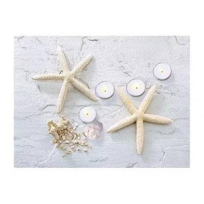 Northlight Led Lighted Starfish Seashell And Tea Light Candles Canvas Wall Art 15.75" In White