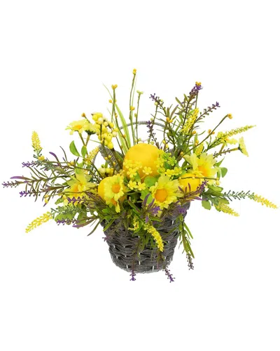Northlight Lemon & Daisy Hanging Wall Basket In Yellow