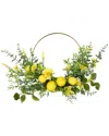 Northlight Lemon & Daisy Springtime Half Wreath In Green