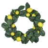 Northlight Lemon And Foliage Artificial Wreath, Yellow 22-inch In Yellow