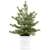 Northlight Lightly Flocked Pine Potted Artificial Christmas Tree With Pinecones In Green