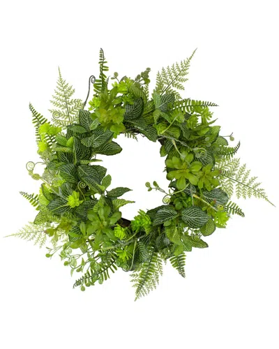 Northlight Maidenhair Fern & Assorted Foliage Wreath In Green