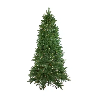 Northlight Medium Neola Fraser Artificial Dual Led Lights 6 1/2 Foot Pre-lit Fir Christmas Tree In Multi
