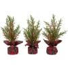 Northlight Mini Cedar Artificial Christmas Trees In Red