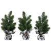 Northlight Mini Iced Pine Artificial Christmas Trees In Green