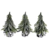 Northlight Mini Silvery Pine Downswept Artificial Christmas Trees In Green