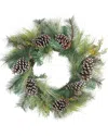 Northlight Mixed Long Needle Pine & Pine Cone Artificial Christmas Wreath
