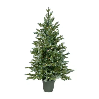 Northlight Potted Clear Lights 4 Foot Pre-lit Spruce Christmas Tree In Green