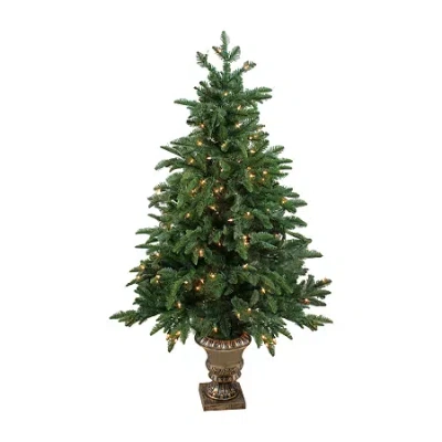 Northlight Potted Sierra Norway Spruce Slim Artificial Clear Lights 4 1/2 Foot Pre-lit Christmas Tree In Green