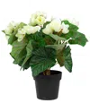 Northlight Potted Silk Begonia Artificial Floral Arrangement In Ivory