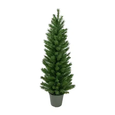 Northlight Potted Virginia Walkway Slim Artificial Unlit 4 Foot Pine Christmas Tree In Green