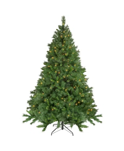 NORTHLIGHT PRE- LIT CHATHAM PINE ARTIFICIAL CHRISTMAS TREE WITH CLEAR LIGHTS SET, 6.5'