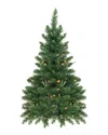 Northlight Pre-lit Buffalo Fir Artificial Christmas Wall Or Door Tree