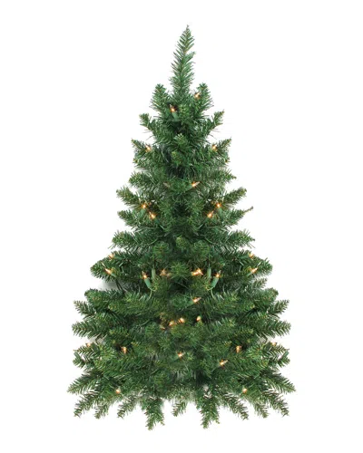 Northlight Pre-lit Buffalo Fir Artificial Christmas Wall Or Door Tree In Green