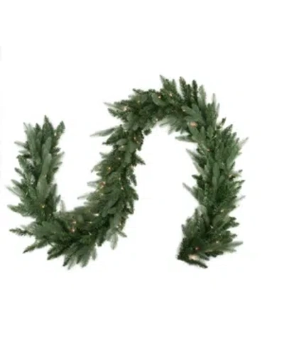 Northlight Pre-lit Washington Frasier Fir Artificial Christmas Garland-clear Lights In Green