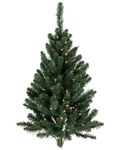 Northlight Pre-lit Buffalo Fir Artificial Christmas Wall Or Door Tree
