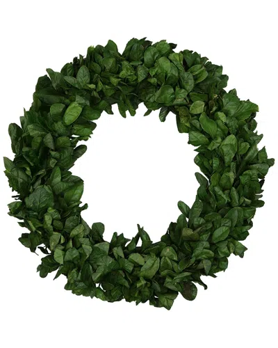 Northlight Preserved Leaf Garden Wreath In Green