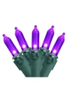 Northlight Purple 100-bulb Led Mini Christmas Lights 33 Ft Green Wire In Purple