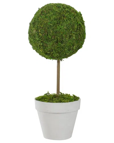 Northlight Reindeer Moss Ball Potted Artificial Topiary Tree In Green