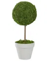 Northlight 16" Reindeer Moss Ball Potted Artificial Spring Topiary Tree In Green