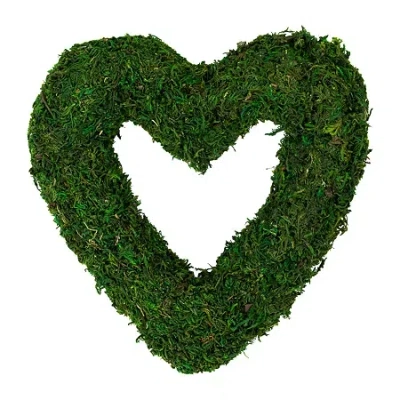 Northlight Reindeer Moss Heart Wreath In Green