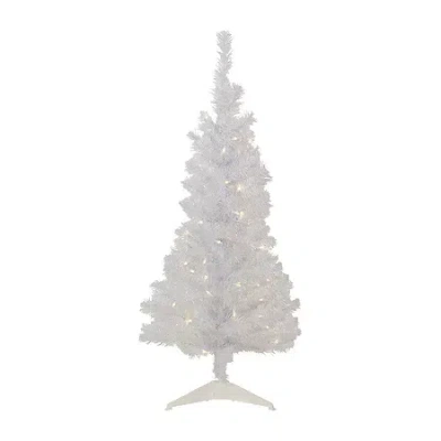 Northlight Rockport White Artificial Clear Lights 4 Foot Pre-lit Pine Christmas Tree