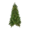 Northlight Rosemary Emerald Angel Artificial Warm White Led Lights 6 1/2 Foot Pre-lit Pine Christmas Tree In Green