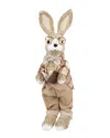 Northlight Rustic Boy Rabbit Easter Figure With Book In Brown