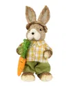 Northlight Rustic Boy Rabbit With Carrot Standing Easter Figure In Brown