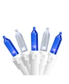 Northlight Set Of 100 Blue Pure White Led Mini Christmas Lights 4" Spacing In Blue