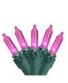 Northlight Set Of 100 Pink Led Mini Christmas Lights 4" Spacing In Pink