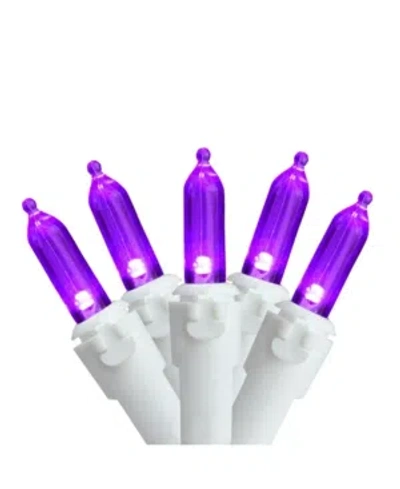 Northlight Set Of 100 Purple Led Mini Christmas Lights 4" Spacing