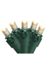Northlight Set Of 100 Warm White Led Wide Angle Christmas Lights - Green Wire In Multi