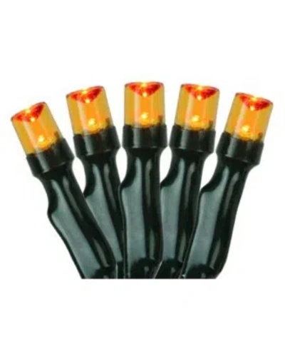 Northlight Set Of 20 Battery Operated Orange Led Wide Angle Christmas Lights - Green Wire
