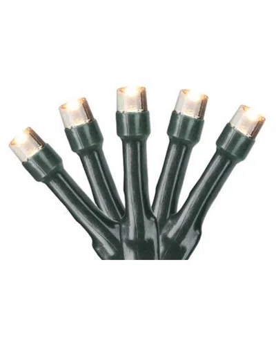 Northlight Set Of 20 Battery Operated Warm White Led Wide Angle Christmas Lights - Green Wire In Clear