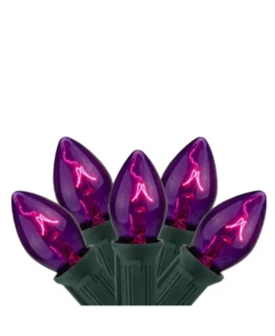Northlight Set Of 25 Transparent Purple C7 Christmas Lights 12" Spacing