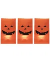 Northlight Set Of 3 Jack-o-lantern Halloween Luminary Pathway Markers In Orange