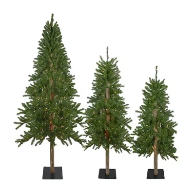 Northlight Set Of 3 Slim Artificial 6 Foot Pre-lit Pine Christmas Tree In Green