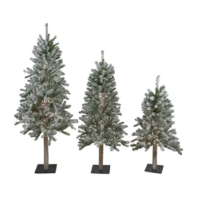 Northlight Set Of 3 Slim Artificial Clear Lights 5 Foot Pre-lit Pine Christmas Tree In Green