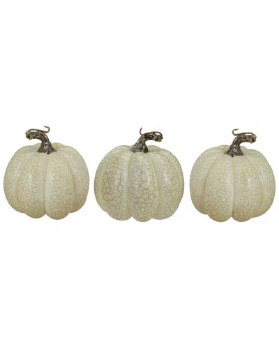 Northlight Set Of 3 White Crackle Finish Fall Harvest Pumpkins 4in