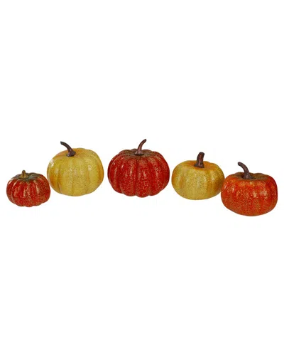 Northlight Set Of 5 Artificial Fall Harvest Pumpkins Decoration In Multi