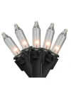 Northlight Set Of 50 Clear Mini Christmas Lights 2.5" Spacing In Clear