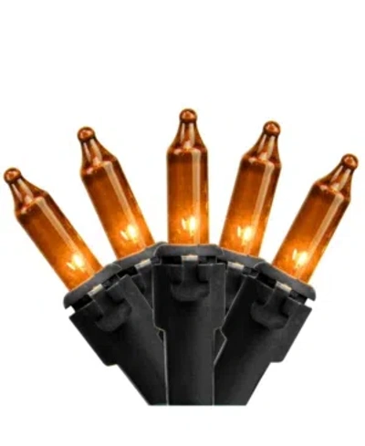 Northlight Set Of 50 Orange Mini Christmas Lights 2.5" Spacing