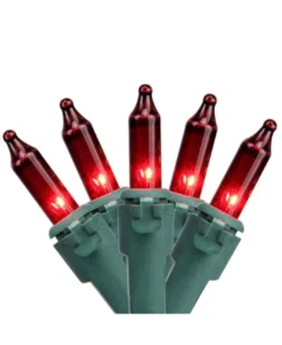 Northlight Set Of 50 Red Mini Christmas Lights 2.5" Spacing