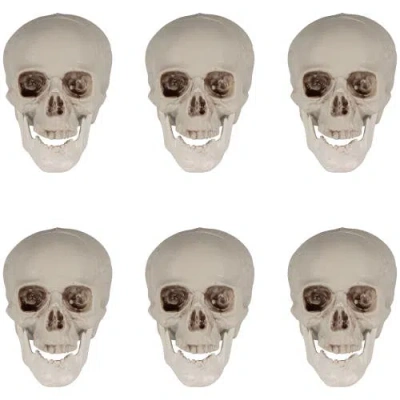 Northlight Skeleton Skulls Halloween Decorations In White